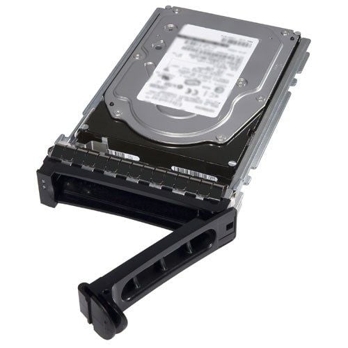 DELL 12TB 7.2K RPM NLSAS 12Gbps 512e 3.5in Hot-plug Hard Drive CK (R750 3.5'' Uyumlu)