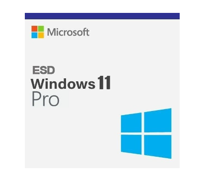 Windows 11 Pro 32/64BIT TR/ENG Lisans ESD