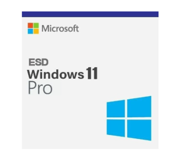 Windows 11 Pro 32/64BIT TR/ENG Lisans ESD